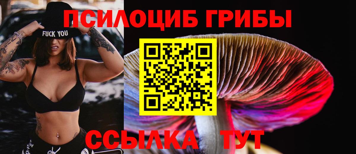 Зеленодольск  Галлюциногенные грибы ЛСД  купить   Вход с VPN 